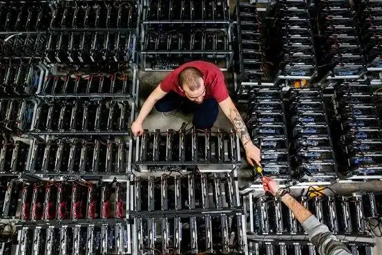 Mining farm with multiple Innosilicon T4 miners