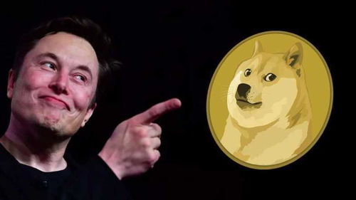 Dogecoin mining performance illustration
